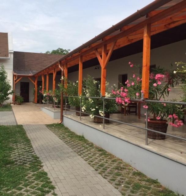 Cicaskacus Vendeghaz Bed & Breakfast Matrafured Exterior photo
